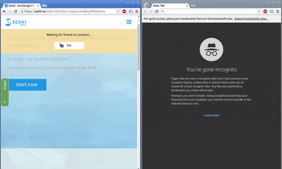 Seshi Connecting to a friend before sending files direct